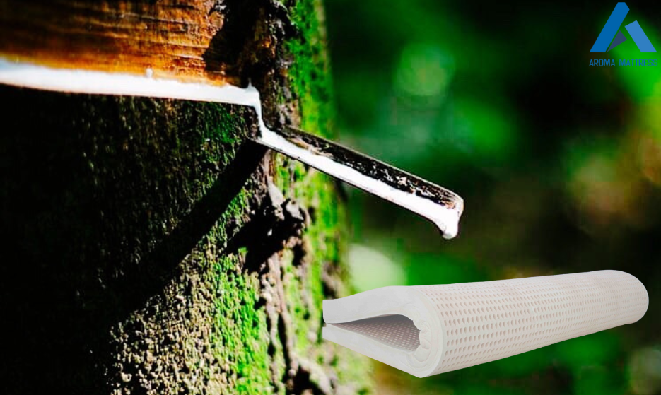 9 loại nệm phổ biến nhất trên thị trường hiện nay