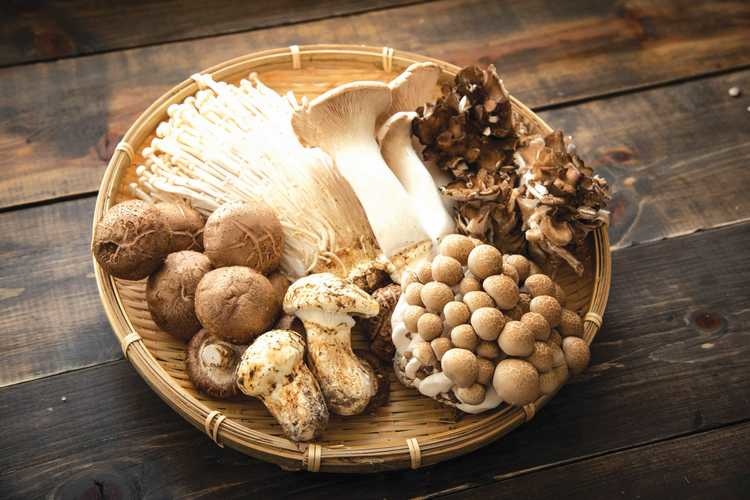 Những thực phẩm giúp tăng cường hệ miễn dịch