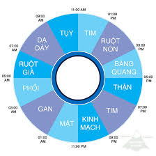 Khắc phục cách thức giấc vào lúc nửa đêm