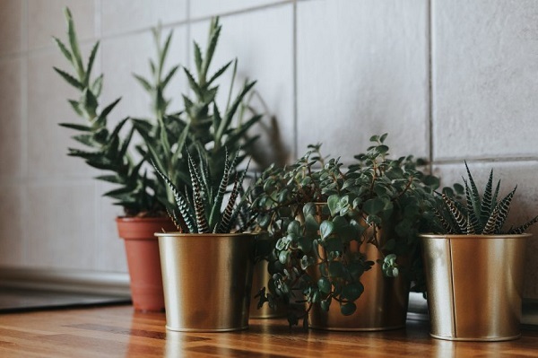 7 CÁCH LÀM MÁT NHÀ TỰ NHIÊN GIÚP TIẾT KIỆM ĐIỆN