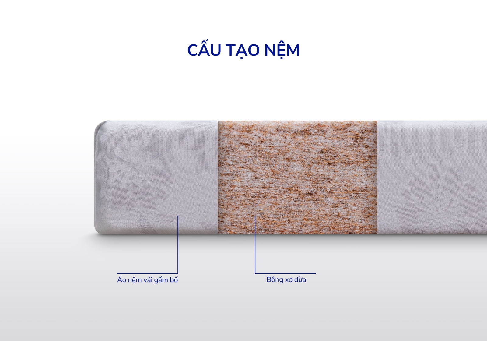 Nệm bông ép xơ dừa coco Aroma
