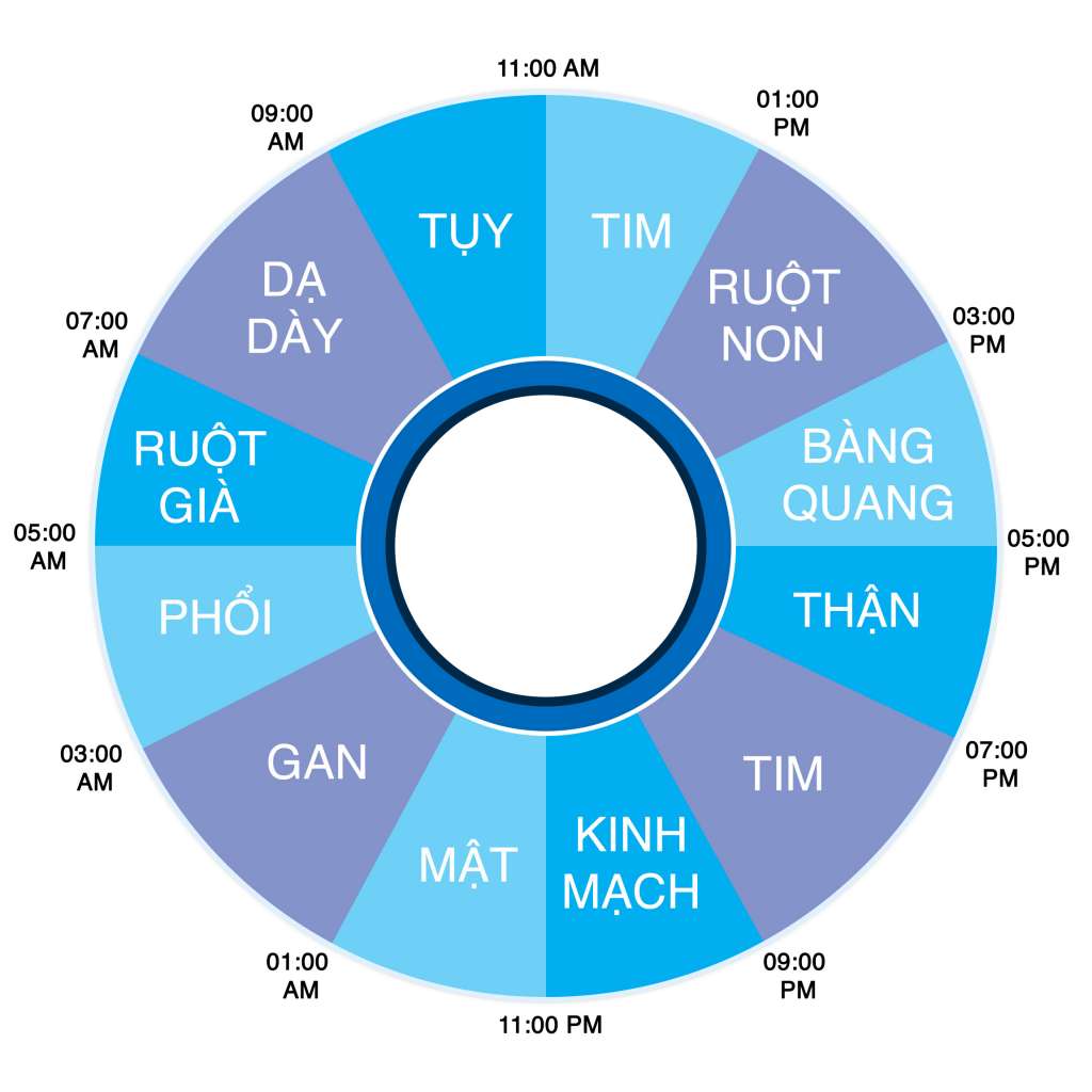 Ngủ để bảo vệ sức khỏe và ngủ để đẹp