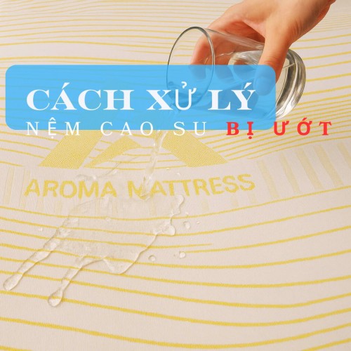 Cách Xử Lý Nệm Cao Su Bị Ướt Đúng Cách