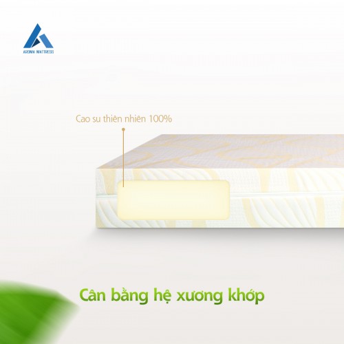 Nệm Aroma giá bao nhiêu giá bán nệm Aroma