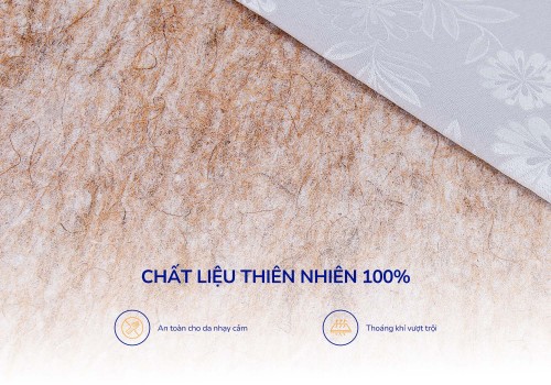 Nệm bông ép xơ dừa coco Aroma