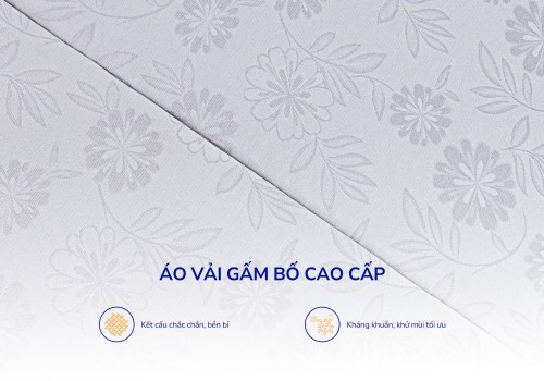 Nệm bông ép xơ dừa coco Aroma