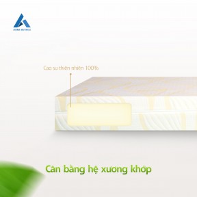 Nệm Aroma giá bao nhiêu giá bán nệm Aroma