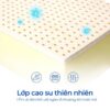 Nệm Lò Xo Aroma Premium Latex 4